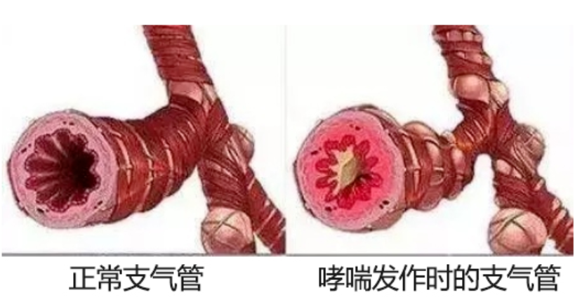 &#20248;&#20048;&#22253;