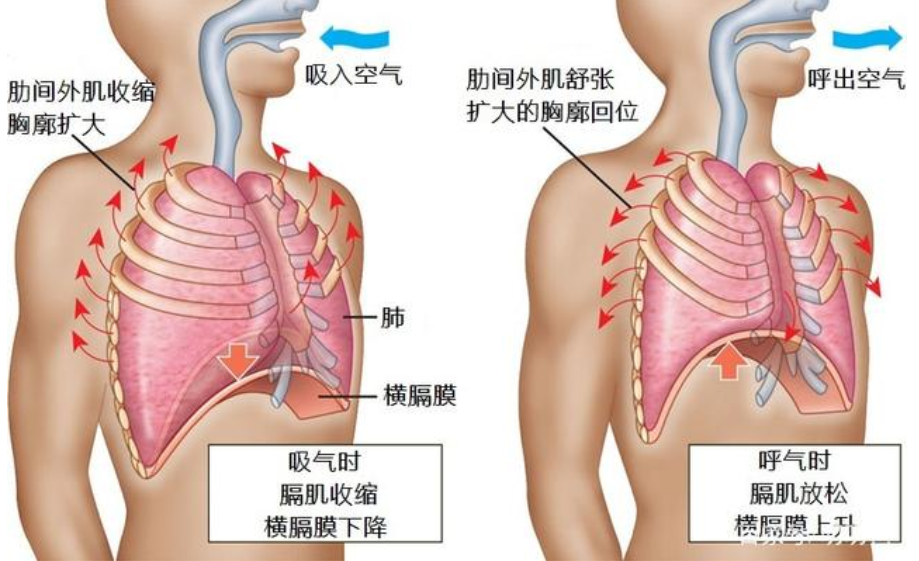 &#20248;&#20048;&#22253;