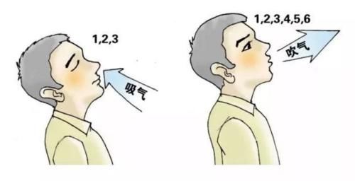 &#20248;&#20048;&#22253;