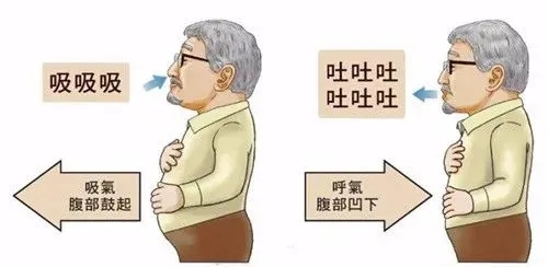 &#20248;&#20048;&#22253;