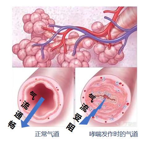 &#20248;&#20048;&#22253;