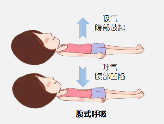 &#20248;&#20048;&#22253;